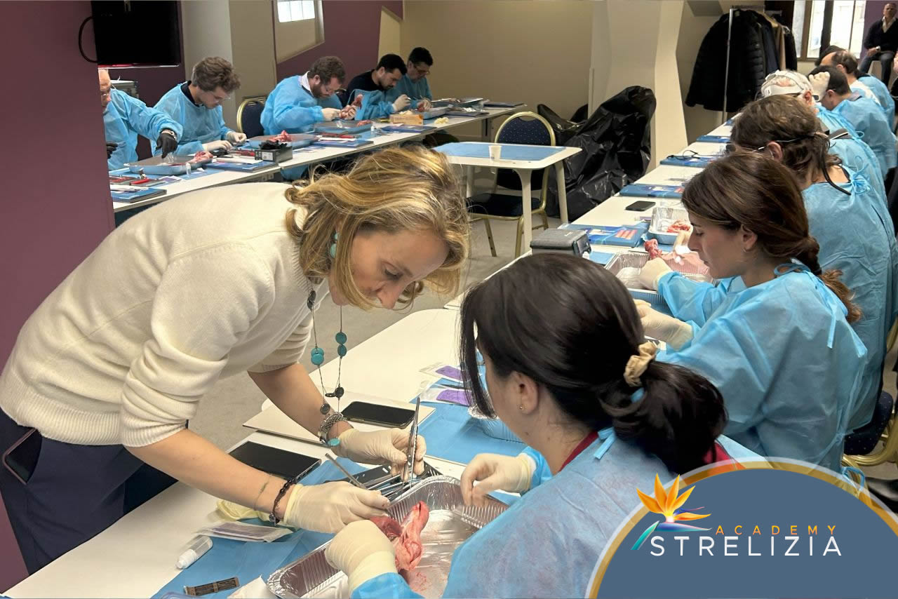 Corso Chirurgia Muco Gengivale Corso Dr.ssa Stefanini